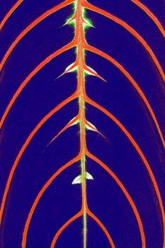 F 067A